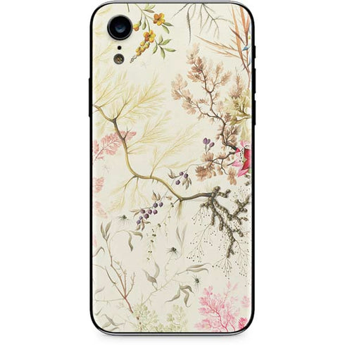 William Kilburn Seaweed on Silk Paper iPhone XR Skin