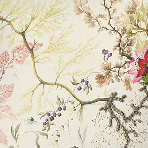 William Kilburn Seaweed on Silk Paper iPhone XR Skin