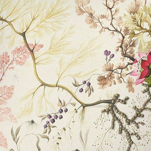 William Kilburn Seaweed on Silk Paper iPhone XS Skin