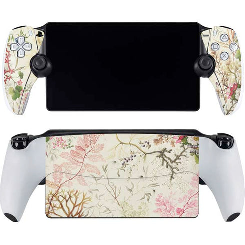 Seaweed on Silk Paper by William Kilburn PlayStation Portal Remote Player Skin