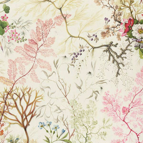 William Kilburn Seaweed on Silk Paper PS4 Pro Bundle Skin