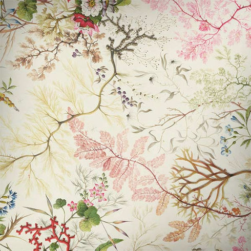 William Kilburn Seaweed on Silk Paper Surface Book 2 15in Skin