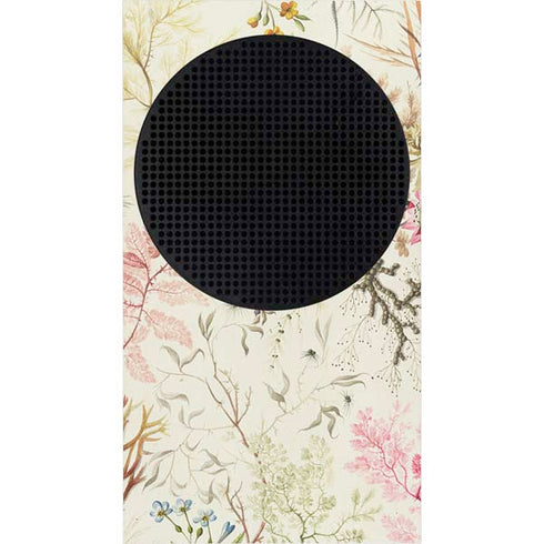 William Kilburn Seaweed on Silk Paper Xbox Series S Bundle Skin