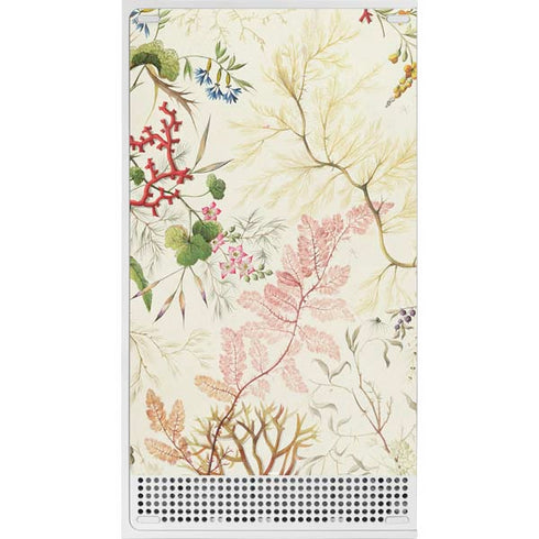 William Kilburn Seaweed on Silk Paper Xbox Series S Console Skin