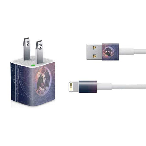 Alchemy Second Sight - Imbas Forosnai iPhone Charger (5W USB) Skin