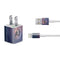 Alchemy Second Sight - Imbas Forosnai iPhone Charger (5W USB) Skin