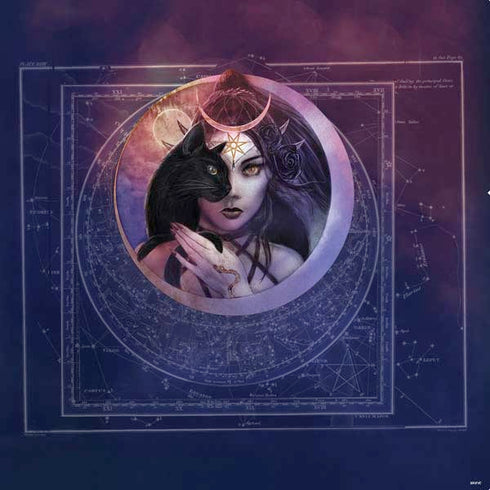 Alchemy Second Sight - Imbas Forosnai PS4 Console and Controller Bundle Skin