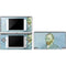 Van Gogh Self-portrait by Van Gogh DS Lite Skin
