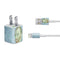 Vincent Van Gogh Self-portrait iPhone Charger (5W USB) Skin