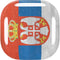 Serbia Flag Distressed Galaxy Buds Live Skin