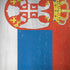 Serbia Flag Distressed Galaxy Note 8 Skin