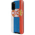 Serbia Flag Distressed Galaxy S20 Pro Case