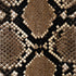 Serpent Animal Print iPhone XR Skin