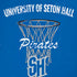 Seton Hall University Pirates Net iPhone XR Pro Case