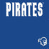 Seton Hall University Pirates Net PS4 Slim Skin