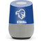 Seton Hall University Vintage Google Home Skin
