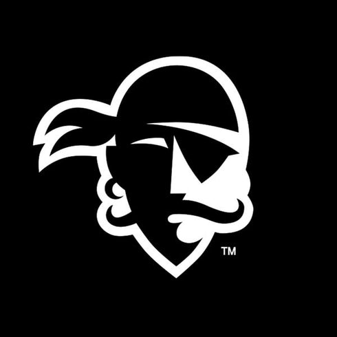 Seton Hall University Zoomed Basketball Moto E5 Play Skin