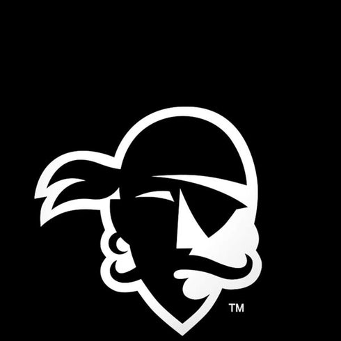 Seton Hall University Zoomed Basketball Moto G6 Skin