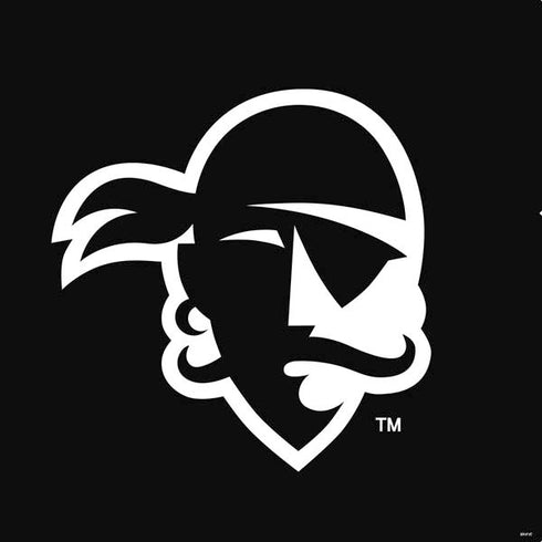 Seton Hall University Zoomed Basketball PS4 Console and Controller Bundle Skin