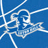 Seton Hall University Zoomed Basketball PS4 Pro/Slim Controller Skin
