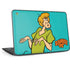 Scooby Doo Shaggy HP Chromebook Skin