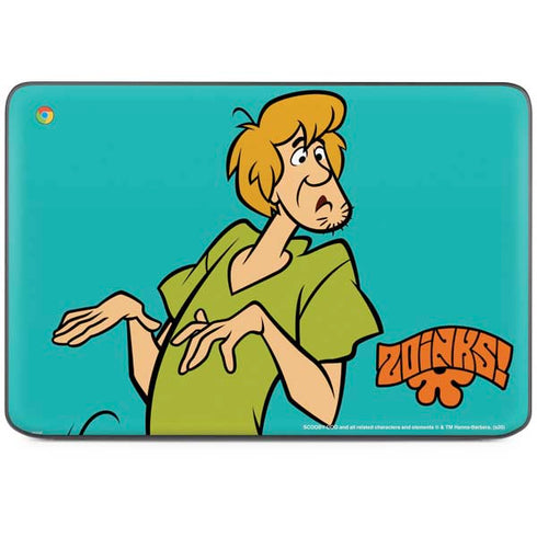 Scooby Doo Shaggy HP Chromebook Skin