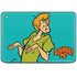 Scooby Doo Shaggy HP Chromebook Skin