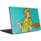 Scooby Doo Shaggy Dell Vostro Skin