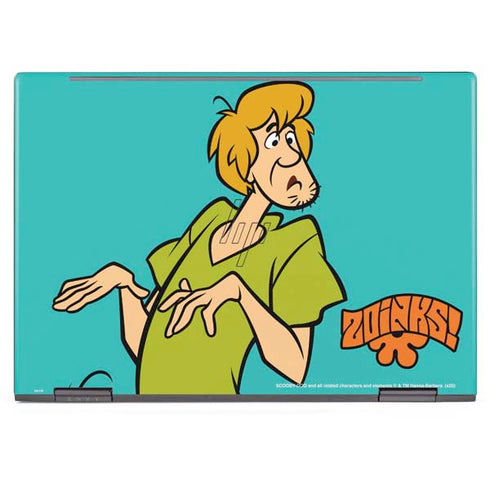 Scooby Doo Shaggy HP Envy Skin