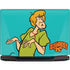 Scooby Doo Shaggy Legion Y720 Skin