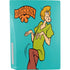 Scooby Doo Shaggy PS5 Bundle Skin