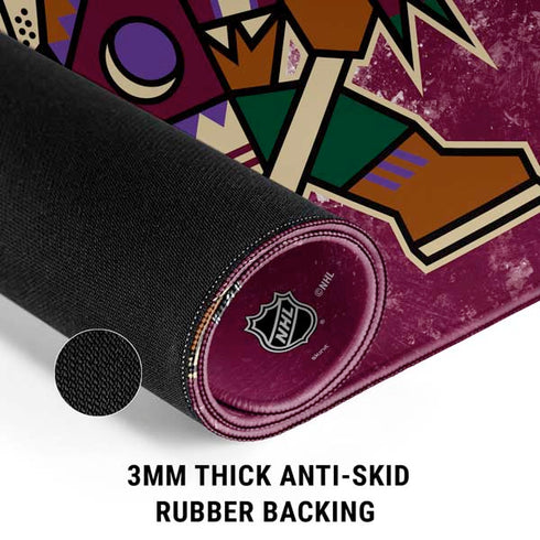 NHL Arizona Coyotes Iced