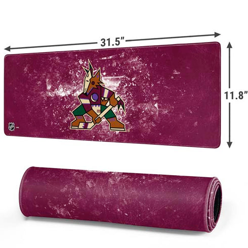 NHL Arizona Coyotes Iced