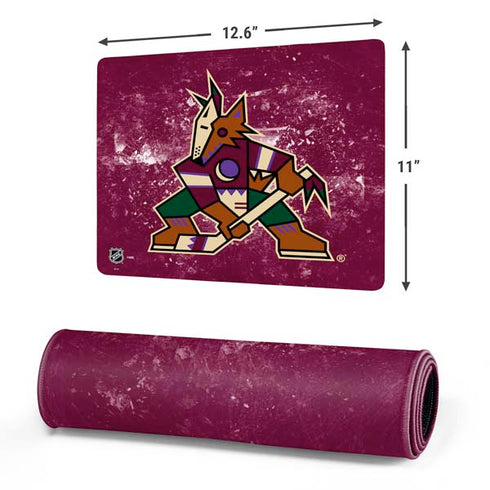 NHL Arizona Coyotes Iced