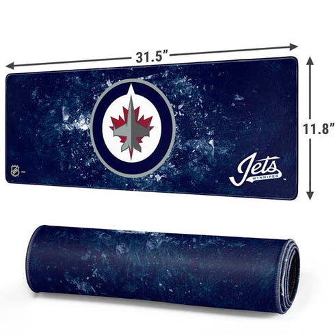 NHL Winnipeg Jets Iced