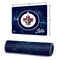 NHL Winnipeg Jets Iced