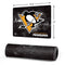 NHL Pittsburgh Penguins Iced