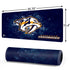 NHL Nashville Predators Iced