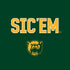 Baylor University Sic Em Green Moto E5 Play Skin
