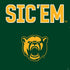 Baylor University Sic Em Green PS4 Slim Skin