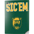 Baylor University Sic Em Green PS5 Digital Edition Console Skin