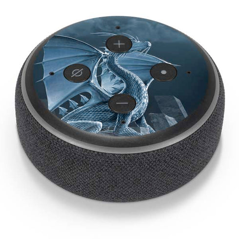 Vincent Hie Silver Dragon Amazon Echo Dot Skin