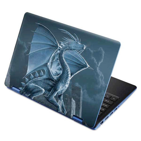 Vincent Hie Silver Dragon Aspire R11 11.6in Skin