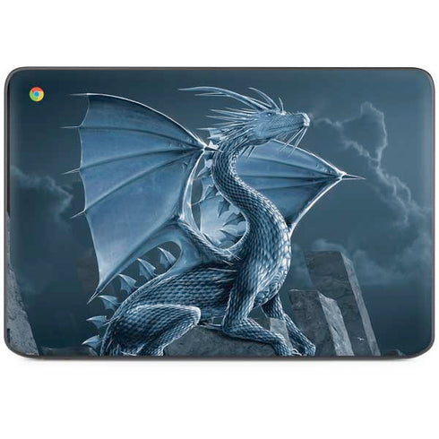 Silver Dragon by Vincent Hie HP Chromebook Skin