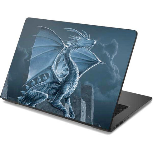 Vincent Hie Silver Dragon Dell Chromebook Skin