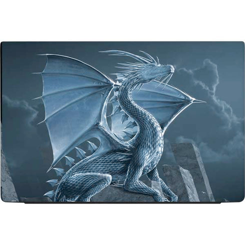 Vincent Hie Silver Dragon Dell Vostro Skin