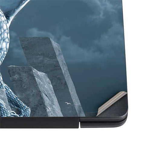 Vincent Hie Silver Dragon Dell Vostro Skin