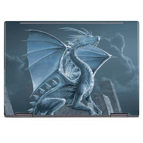 Vincent Hie Silver Dragon HP Envy Skin