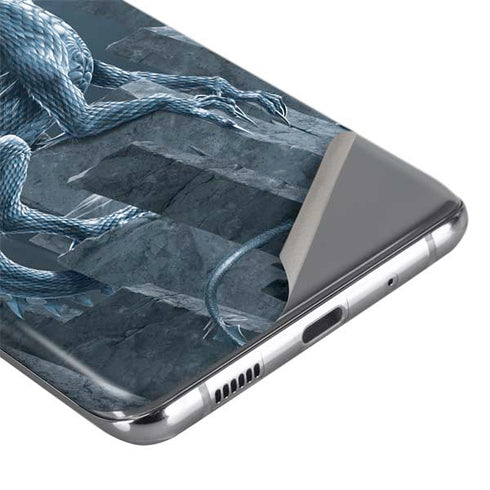Vincent Hie Silver Dragon Galaxy S20 Skin