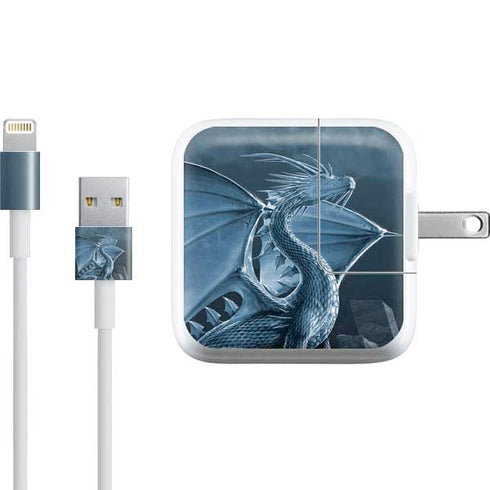 Vincent Hie Silver Dragon iPad Charger (10W USB) Skin